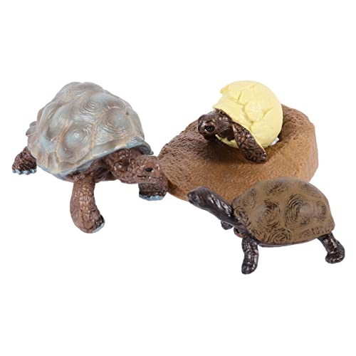 CVUTOVO Teiliges Set Simulationstiere Figurinen Lebenszyklusmodell Schildkröte Kognitive Spielzeuge für und Spielaktivitäten CVUTOVO Teiliges Set Simulationstiere Figurinen Lebenszyklusmodell Schildkröte Kognitive Spielzeuge für und Spielaktivitäten von CVUTOVO