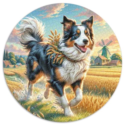 Border Collie 1000 Teile Rundes Einzigartige Klassisches Rund Stressabbau-Spielzeug Puzzle Für Erwachsene Und Kinder 1000pcs (67.5x67.5cm) von CWHSDPRUF