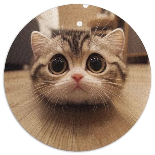 Cute Cat 1000 Teile Circular Puzzles Unregelmäßige Klassisches Stressabbau-Spielzeug Puzzle Für Erwachsene 1000pcs (67.5x67.5cm) von CWHSDPRUF
