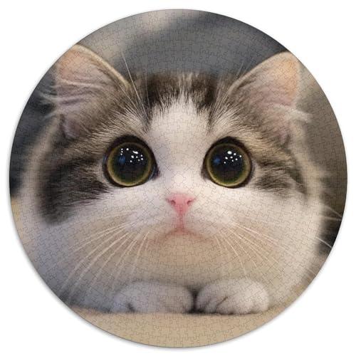 Cute Cat 1000 Teile Rundes Unregelmäßige Klassisches Puzzle Spielzeug Für Erwachsene 1000pcs (67.5x67.5cm) von CWHSDPRUF
