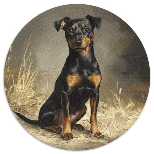 Miniature Pinscher 1000 Teile Circular Puzzles Unregelmäßige Klassisches Rund Stressabbau-Spielzeug Puzzle Für Erwachsene 1000pcs (67.5x67.5cm) von CWHSDPRUF