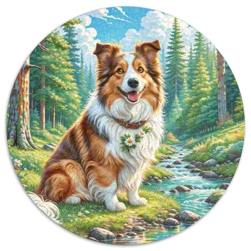Shetland Sheepdog 1000 Teile Circular Puzzles Unregelmäßige Kreative Rund Stressabbau-Spielzeug Puzzle Für Erwachsene 1000pcs (67.5x67.5cm) von CWHSDPRUF