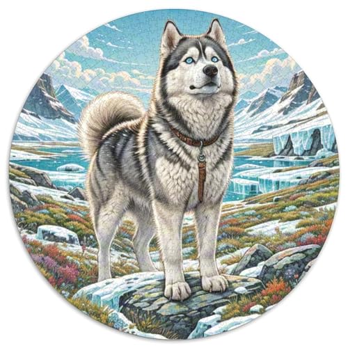 Siberian Husky 1000 Teile Circular Puzzles Unregelmäßige Klassisches Rund Spielzeug Puzzle Für Erwachsene 1000pcs (67.5x67.5cm) von CWHSDPRUF