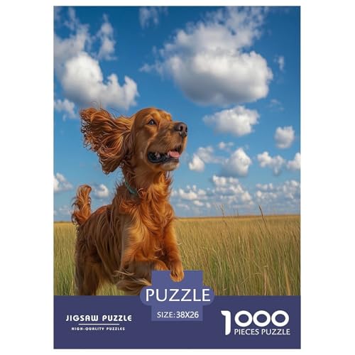 Irischer Setter Puzzle 1000 Teile Schwer Puzzle Spielzeug Pädagogisches Spiel Impossible Herausforderungsspielzeug Für Erwachsene Kinder 38x26cm/1000pcs Irischer Setter Puzzle 1000 Teile Schwer Puzzle Spielzeug Pädagogisches Spiel Impossible Herausforderungsspielzeug Für Erwachsene Kinder 38x26cm/1000pcs von CXKSOEACN