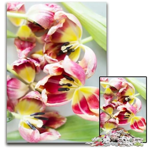 Puzzle 1000 Teile Abstrakter Tulpenstrauß Puzzle für Erwachsene entspannende Unterhaltung Heimdekoration 1000 Teile (38 x 26 cm) von CXUOSADIP
