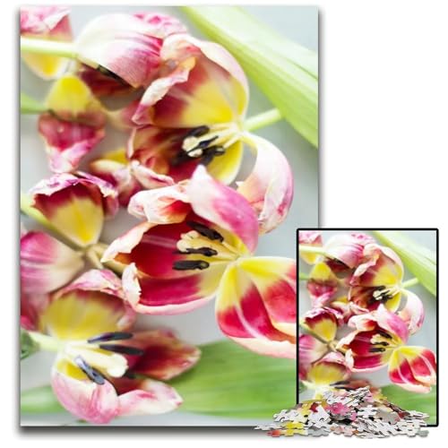 Puzzle 1000 Teile für Erwachsene Abstrakter Tulpenstrauß Holzpuzzle interaktives Familienspiel GehirnHerausforderung Lernspielzeug 1000 Teile (75 x 50 cm) von CXUOSADIP
