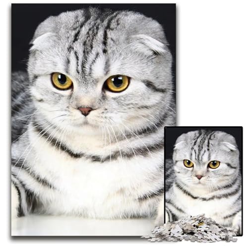 Puzzle für Erwachsene 1000 Katzen Holzpuzzle für Erwachsene interaktives Familienspiel GehirnHerausforderung Lernspielzeug 1000 Teile (75 x 50 cm) von CXUOSADIP