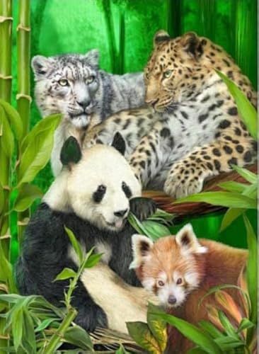 1000 Pcs, Wildlifes, Colourful Art Jigsaw, Fun Spiel Spielzeug Educational Spiel for Erwachsene Posters FX424PV von CYQFEZ