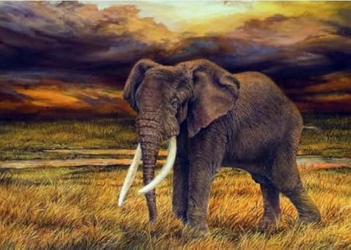 Animal Elephants, 1000 Stück, Art Colour Jigsaw, Fun Spiel Spielzeug Posters Educational Spiel for Erwachsene FX398PV von CYQFEZ
