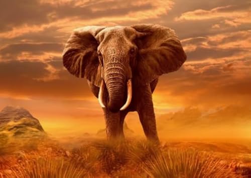 Animal Elephants, 1000 Stück, Art Colour Jigsaw, Fun Spiel Spielzeug Posters Educational Spiel for Erwachsene FX399PV von CYQFEZ