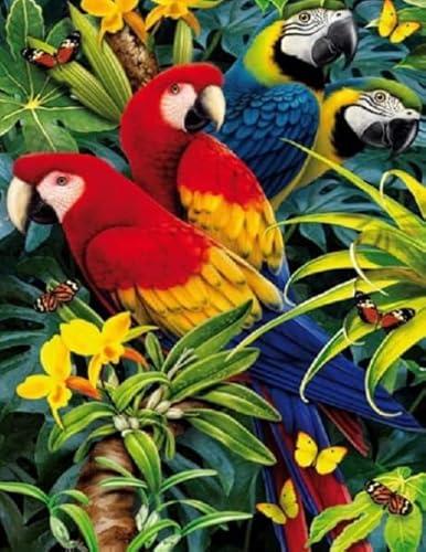 Animal Parrots, Rätsel 1000 Stück, Colourful Abstract Jigsaw, Fun Spiel Spielzeug Educational Spiel for Erwachsene Posters FX345PV von CYQFEZ