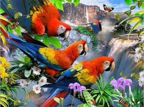 Animal Parrots, Rätsel 1000 Stück, Colourful Abstract Jigsaw, Fun Spiel Spielzeug Educational Spiel for Erwachsene Posters FX346PV von CYQFEZ