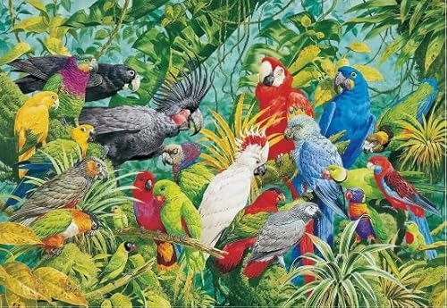 Animal Parrots, Rätsel 1000 Stück, Colourful Abstract Jigsaw, Fun Spiel Spielzeug Educational Spiel for Erwachsene Posters FX348PV von CYQFEZ