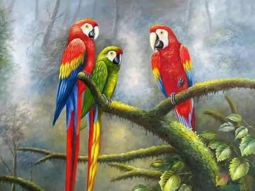 Animal Parrots, Rätsel 1000 Stück, Colourful Abstract Jigsaw, Fun Spiel Spielzeug Educational Spiel for Erwachsene Posters FX350PV Animal Parrots, Rätsel 1000 Stück, Colourful Abstract Jigsaw, Fun Spiel Spielzeug Educational Spiel for Erwachsene Posters FX350PV von CYQFEZ