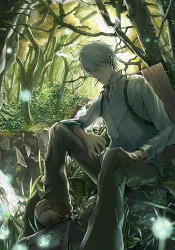 CYQFEZ 1000 Stück ，Puzzles ，Irregular Puzzle ，Posters ，Gifts ，Japanese Animes Mushishi ，Gedächtnis Spiele Für Erwachsene ，Spielzeug Zum Stressabbau Für Die Ganze Familie,Yz101Wz von CYQFEZ
