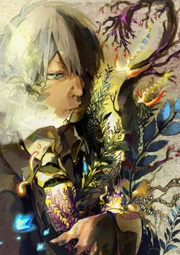 CYQFEZ 1000 Stück ，Puzzles ，Irregular Puzzle ，Posters ，Gifts ，Japanese Animes Mushishi ，Gedächtnis Spiele Für Erwachsene ，Spielzeug Zum Stressabbau Für Die Ganze Familie,Yz102Wz von CYQFEZ