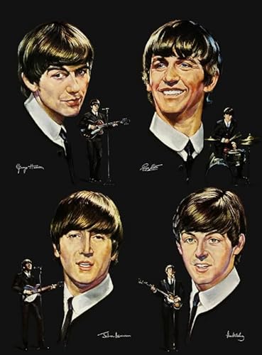 CYQFEZ 1000 Stück Puzzle,Bunt Irregular Puzzle,Beatless Classic Singers ，Bedroom Painting ，Adult Personalisiertes Challenge-Spielzeug,Yz375Wz von CYQFEZ