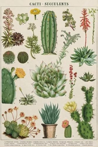 CYQFEZ 1000 Stück Puzzle ,Retro Cactuses Plant Illustrations ,Posters ,Difficult Jigsaw,Adult Personalisiertes Challenge-Spielzeug,Yz257Wz CYQFEZ 1000 Stück Puzzle ,Retro Cactuses Plant Illustrations ,Posters ,Difficult Jigsaw,Adult Personalisiertes Challenge-Spielzeug,Yz257Wz von CYQFEZ
