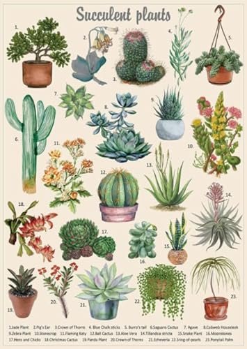 CYQFEZ 1000 Stück Puzzle ，Retro Cactuses Plant Illustrations ，Posters ，Difficult Jigsaw，Adult Personalisiertes Challenge-Spielzeug,Yz258Wz von CYQFEZ
