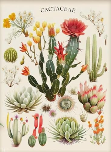CYQFEZ 1000 Stück Puzzle ,Retro Cactuses Plant Illustrations ,Posters ,Difficult Jigsaw,Adult Personalisiertes Challenge-Spielzeug,Yz259Wz CYQFEZ 1000 Stück Puzzle ,Retro Cactuses Plant Illustrations ,Posters ,Difficult Jigsaw,Adult Personalisiertes Challenge-Spielzeug,Yz259Wz von CYQFEZ