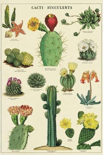 CYQFEZ 1000 Stück Puzzle ,Retro Cactuses Plant Illustrations ,Posters ,Difficult Jigsaw,Adult Personalisiertes Challenge-Spielzeug,Yz260Wz CYQFEZ 1000 Stück Puzzle ,Retro Cactuses Plant Illustrations ,Posters ,Difficult Jigsaw,Adult Personalisiertes Challenge-Spielzeug,Yz260Wz von CYQFEZ