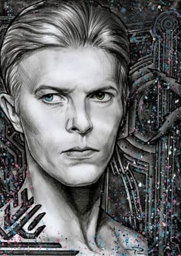 CYQFEZ Bunt Irregular Puzzle,1000 Stück Puzzle,Singers Bowies ，Elderly Gedächtnis- Und Wahrnehmungs Spiele,Familienspaß-Heraus for Derungs Spielzeug,Yz279Wz von CYQFEZ