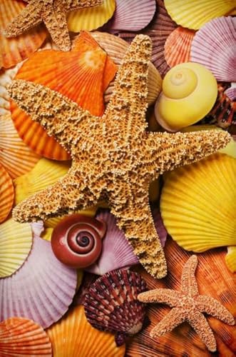CYQFEZ Buntes Starfishs Animal Bilder - Puzzle 1000 Teile - Lernspielzeug Für Kinder - Difficult - Erwachsene Challenge Game - Heim-Dekoration - Pz62Vw von CYQFEZ