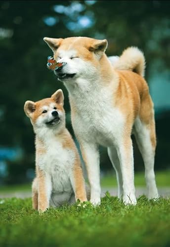 CYQFEZ Puzzle 1000 Teile,Japanese Animal Dogs Poster,Pädagogisches Spielzeug Für Kinders ，Elderly Memory Cognition Puzzle Games Wz224Wk von CYQFEZ