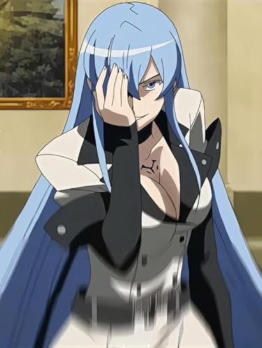 CYQFEZ Puzzle 1000 Teile,Japanese Animes Akames Ga Kills Art Poster Puzzles,Memory Cognition Games,Pädagogisches Spielzeug Für Kinders,Wand Kunst-Dekor Wz331Wk von CYQFEZ