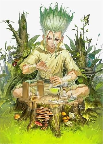 Classic Anime Dr.Stone Ishigami,1000 Pcs,Posters Puzzle,Erwachsene Children's,Spiels Lehrreich Spielzeugs CYQFEZ MS622HD von CYQFEZ