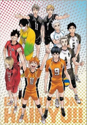 Puzzle 1000 Stück - Japanese Animes Haikyuu - Colour Jigsaw - Kinder's Educational Spielzeugs Puzzle Posters FX178PV Puzzle 1000 Stück - Japanese Animes Haikyuu - Colour Jigsaw - Kinder's Educational Spielzeugs Puzzle Posters FX178PV von CYQFEZ