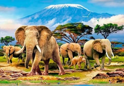 Rätsel 1000 Stück, Animal Elephants, Art Colour Jigsaw, Fun Spiel Spielzeug Posters Educational Spiel for Erwachsene FX332PV von CYQFEZ