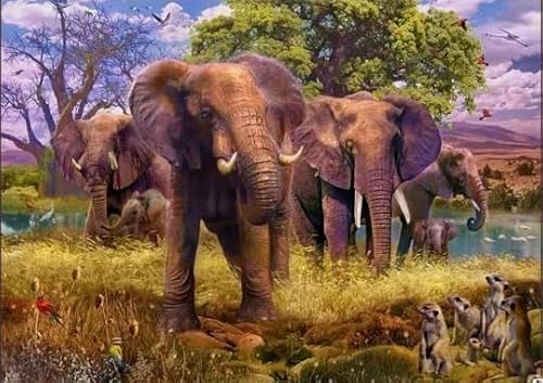 Rätsel 1000 Stück, Animal Elephants, Art Colour Jigsaw, Fun Spiel Spielzeug Posters Educational Spiel for Erwachsene FX333PV von CYQFEZ