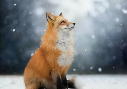 Rätsel 1000 Stück, Animal Foxs, Art Jigsaw, Erwachsenes Familie Spiels Educational Spielzeugs Posters FX318PV Rätsel 1000 Stück, Animal Foxs, Art Jigsaw, Erwachsenes Familie Spiels Educational Spielzeugs Posters FX318PV von CYQFEZ