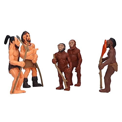 CaCaCook Menschliches Figurenspielzeug, Simuliertes Alter Mensch Statisches Modellspielzeug, Entwicklungen der Menschen Simulierte Menschen Fand Alte Menschliche Statue -Spielzeughome CaCaCook Menschliches Figurenspielzeug, Simuliertes Alter Mensch Statisches Modellspielzeug, Entwicklungen der Menschen Simulierte Menschen Fand Alte Menschliche Statue -Spielzeughome von CaCaCook