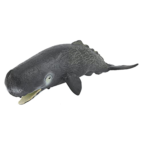 CaCaCook Spermien Whale Spielzeug, Marine Animal Model Toy Spielzeug, Wissenschaft Tier Spermien Whale Model Figur, Simulation Ozean Tier Bildungsmodell für über 3 Ja von CaCaCook
