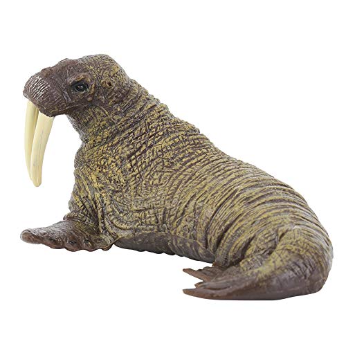 CaCaCook Walross Animal Figur, Walros Elephant Seal Figur Tiermodell, Realistische Wildtiere für Kleinkinder, Spielzeugtiere für Im Alter von 3 Plus von CaCaCook