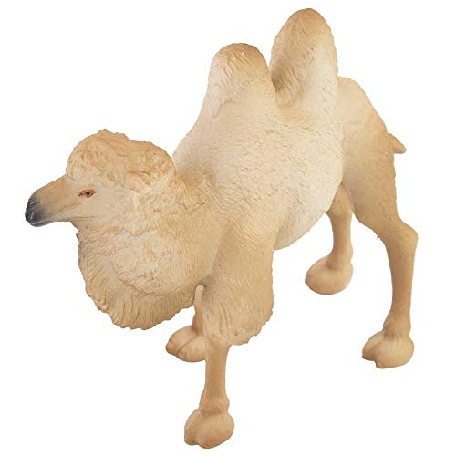 CaCaCook Weiße Kamel -Figurenspielzeug, Wildtierfiguren, Miniaturtiermodell, Mini -Tierkamel Statue Kamele Desktop Dekoration Wassertisch Spielzeug Kleine Kamelmodell CaCaCook Weiße Kamel -Figurenspielzeug, Wildtierfiguren, Miniaturtiermodell, Mini -Tierkamel Statue Kamele Desktop Dekoration Wassertisch Spielzeug Kleine Kamelmodell von CaCaCook
