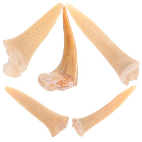 Cabilock 1 Satz Fossilienanhänger Haifischzähne Hai-anhänger Cooler Kettenanhänger Surfer -halskette Strand Halskette Frauen Männer Zahnschmuck Für Frauen Zahn Zahnanhänger 5 Stück Cabilock 1 Satz Fossilienanhänger Haifischzähne Hai-anhänger Cooler Kettenanhänger Surfer -halskette Strand Halskette Frauen Männer Zahnschmuck Für Frauen Zahn Zahnanhänger 5 Stück von Cabilock