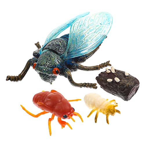 Cabilock 1 Satz Simuliertes Zikadenmodell Kleinkinder Spielzeuge Tiere Kinderspielzeug Schulmaterial für Lebenszyklus- für PVC von Cabilock