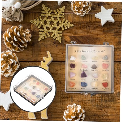 Cabilock 1 Schachtel Mineralsteine Probenbox Mini Kristall Irregulär Lernset Sammler Geschenk für Schüler und Dekoration Schreibtisch von Cabilock