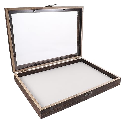Cabilock 1 Set Box Insektenprobenbox Probenbehälter Schmetterling Gerahmte Display Cane Boxen Proben Rustikale Indoor Probenschublade Insekten Winziger Probenbehälter Für Acryl von Cabilock