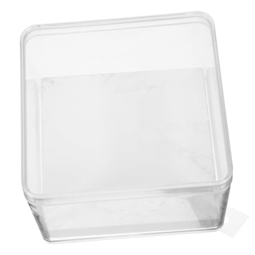Cabilock 1 Set Insektenprobenbox Insekten Ausstellungsrahmen Insekten Bastelset Aus Organza Insekten Pinnstab Insektengehege Entomologie Marienkäfer Transparenter Kunststoff von Cabilock