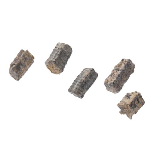 Cabilock 1 Stück Fossiles Exemplar Lehrwerkzeug Seesternverzierung Bildungsspielzeug Schmuck Dekoration Kinderspielzeug Modell Desktop-ornament Schüler Unterrichten Probe Cabilock 1 Stück Fossiles Exemplar Lehrwerkzeug Seesternverzierung Bildungsspielzeug Schmuck Dekoration Kinderspielzeug Modell Desktop-ornament Schüler Unterrichten Probe von Cabilock