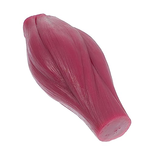 Cabilock 1 Stück Muskelmodell Lb Anatomisches Menschliches Körpermodell ohne Basis für Lehrer Studierende um Muskelstrukturen zu Verstehen Gesunde Lebensweisen zu Fördern von Cabilock