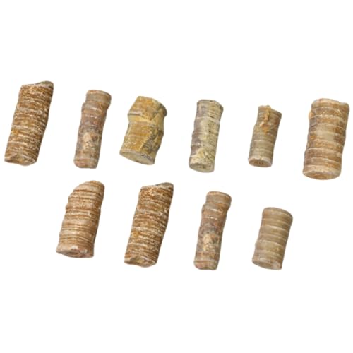 Cabilock 10st Crinoid-stamm- Für Lehrmittel Pädagogisches Desktop-Ornament Modell Studienmaterial Zu Meeresstachelhäutern Schüler Unterrichten Kinderspielzeug Cabilock 10st Crinoid-stamm- Für Lehrmittel Pädagogisches Desktop-Ornament Modell Studienmaterial Zu Meeresstachelhäutern Schüler Unterrichten Kinderspielzeug von Cabilock