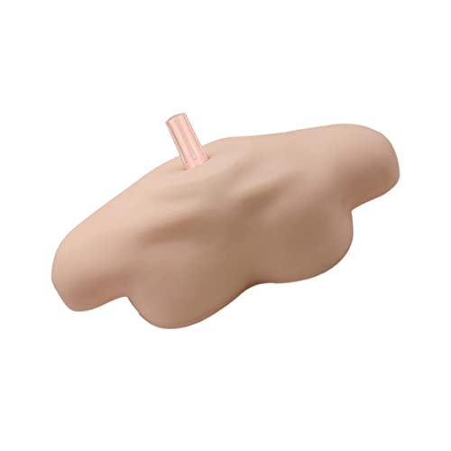 Cabilock 1Pc Mannequin Schulterkopf Modellhalter Schulterstabilisatorstütze Simulierte Schulterform Modellgestell Haltung Modellkopf Mit Schultern Pvc von Cabilock