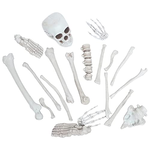 Cabilock 1Satz Skelettknochen Teilig für Halloween Deko Realistisches Skelett Modell für Gruselige Haunted Houses Friedhöfen für Partys Cabilock 1Satz Skelettknochen Teilig für Halloween Deko Realistisches Skelett Modell für Gruselige Haunted Houses Friedhöfen für Partys von Cabilock