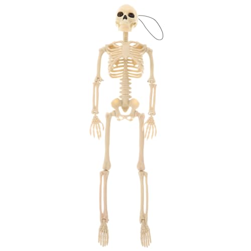 Cabilock 1Stück Kreatives Skelett Modell Lustige Halloween Dekoration Für Szenenlayout Weißes Skelett Handwerk Für Gruselpartys Halloween Deko Als Requisite von Cabilock