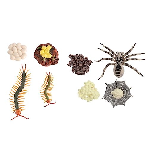 Cabilock 2 Sätze Realistische Tierfiguren Lebenszyklus Modell Tarantula und Tausendfüßer Lernspielzeug Naturwissenschaftliche Bildung von Cabilock